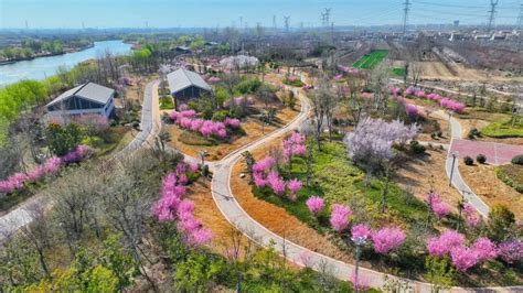 河南省商丘市，日月湖景区，景色很美，还是个免费的景点