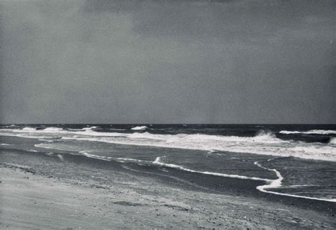 The Gray Man Ghost of Pawley’s Island, South Carolina : The Moonlit Road