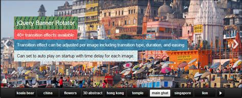 jQuery Examples 的图像结果