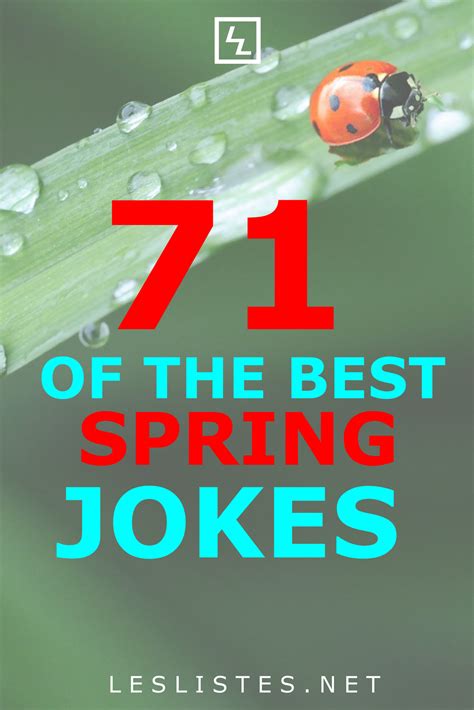 Jokes About Spring