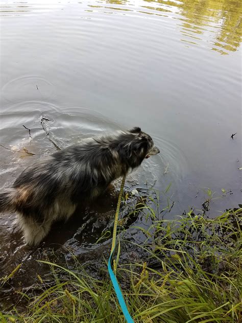 Twin Lakes State Park Campground | Burkeville, VA