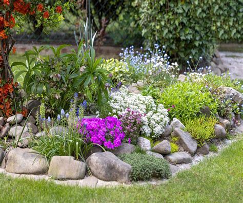 Rock garden plants: Top 10 varieties and how to grow them | Homes and ...