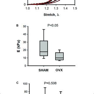 Image result for Native Stretch Resolution