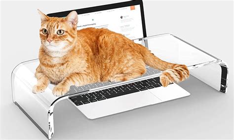 Lirches Clear Monitor Stand Riser - 15.8” Acrylic India | Ubuy