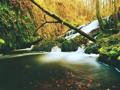 Autumnal Waterfall Tutorial 的图像结果