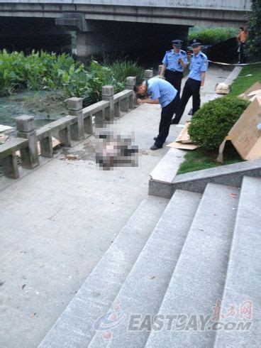 沪闵行区一河道内发现男子尸体 警方排除他杀_新浪新闻