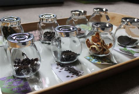 AIPS | Resources | Montessori Activities - Smelling Jars