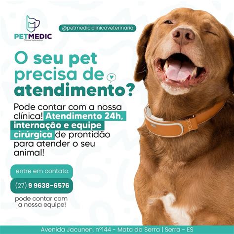 Clínica Veterinária Pet Medic 24h (@petmedic.clinicaveterinaria) • Instagram photos and videos