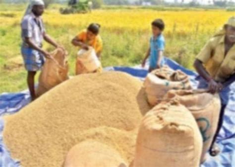 குறைந்தபட்ச ஆதரவு விலை: 315.87 லட்சம் மெட்ரிக் டன் நெல் கொள்முதல் | MSP ...