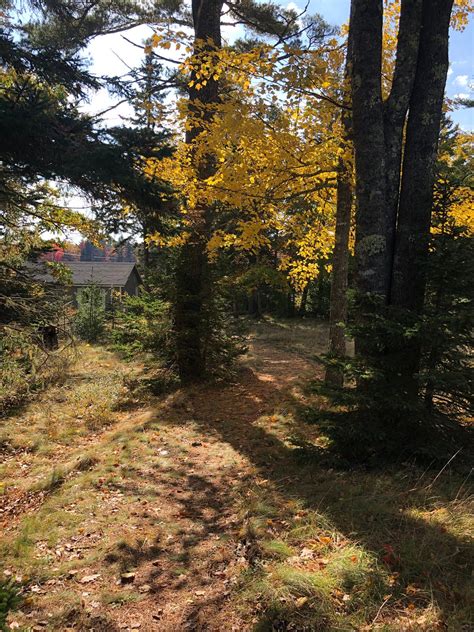 Oceanarium And Education Center, Бар-Харбор: лучшие советы перед посещением - Tripadvisor