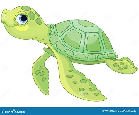 Sea Turtle Clipart