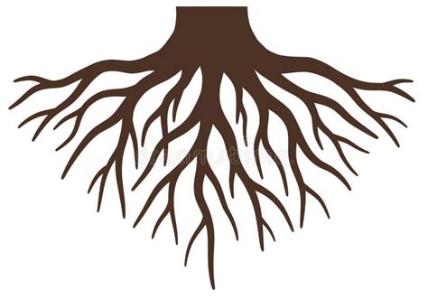 Clip art tree root stock image. Image of trunk, soil - 365703793