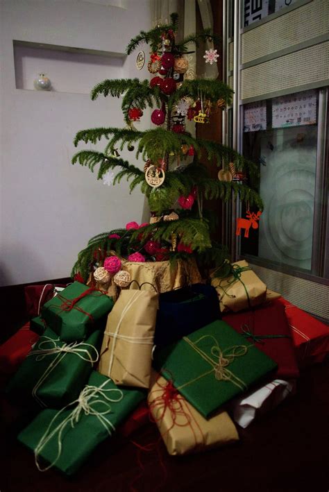 Norfolk Pine Care Advice! : r/houseplants