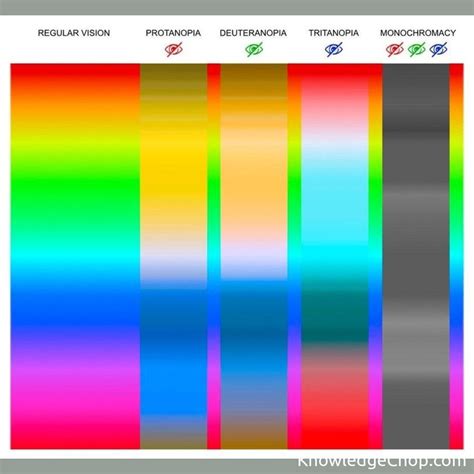 How different types of color blindness affect specific colors | 🥷 Knowledge Ninja