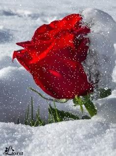 Image result for Snowfall Minecraft