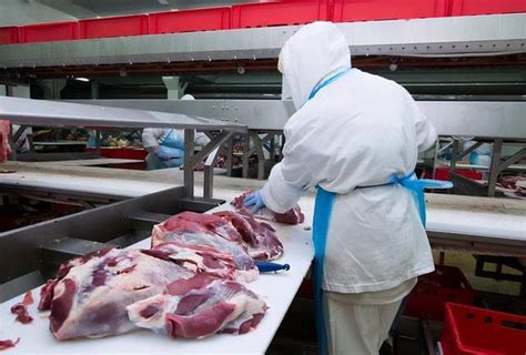 75%的牛肉卖给中国，这国却宣布暂停牛肉出口，发生了什么？_阿根廷