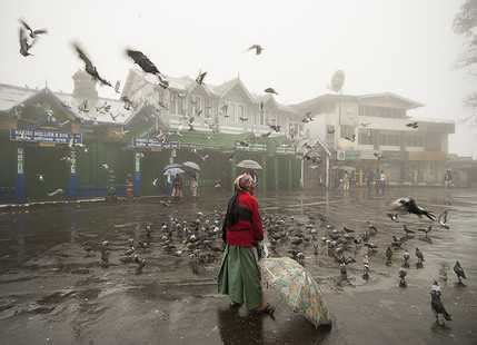 Snowfall in Darjeeling misses again | Skymet Weather Services