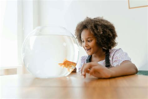 4 Best Low Maintenance Pets for Busy People - Tamara Like Camera