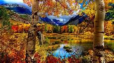 Fall Backgrounds Computer by Fall Computer Backgrounds 76 Images Fall Backgrounds Computer