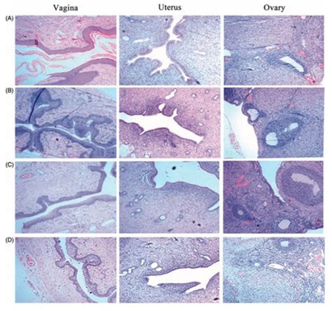 Promising Drug Delivery Approaches to Treat Microbial Infections in the ...