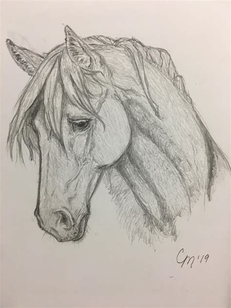 Easy Horse Drawings In Pencil Horse Drawings :) : R/Equestrian