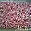 Image result for Easy to Make Rag Rugs