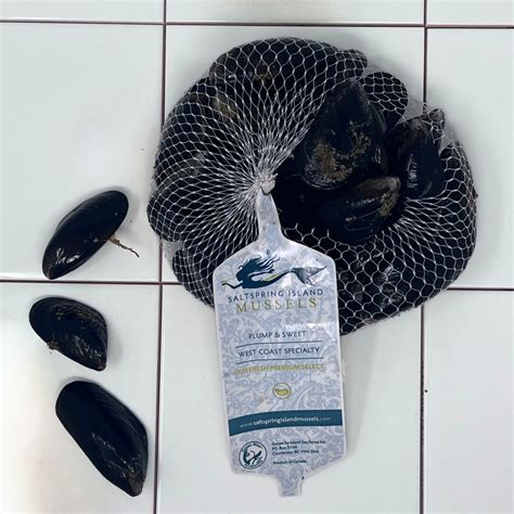 Image result for Salt Spring Tutorial Lfiddle