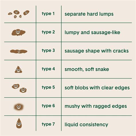 What Are The Types Of Stool at Casey Root blog