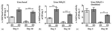 A Standardized Collagen-Based Scaffold Improves Human Hepatocyte ...