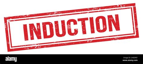 Stamp Example Simple Induction 的图像结果