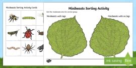Minibeasts Colouring Activity for Minibeasts Artists