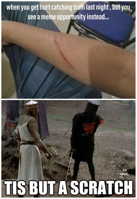 Image result for Python Black Everything Meme