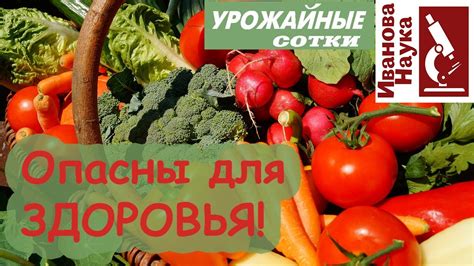 Почему овощи становятся ЯДОМ? Дело в мульче! Как безопасно выращивать ...