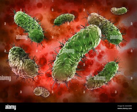 Bacteria under microscope Stock Photo - Alamy