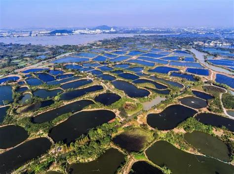 淮安_淮阴区_主要河流_绿色_公园_3840X2160_高清视频素材下载(编号:9003340)_实拍视频_光厂(VJ师网) www ...