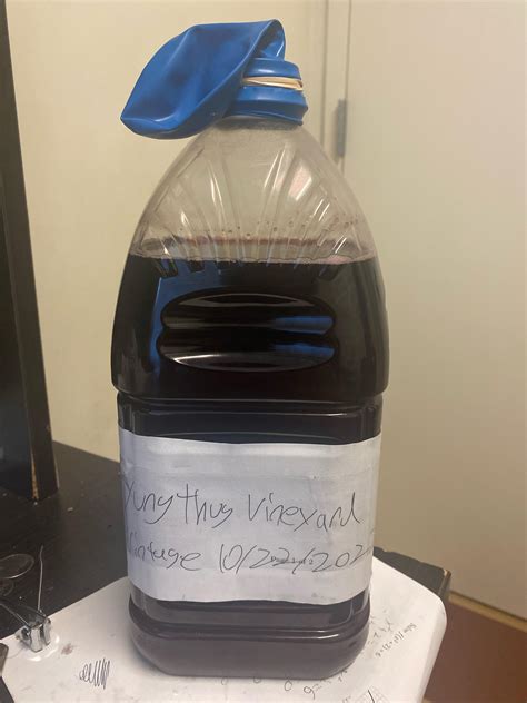 Newbie here my fermentation has gone down what should I do next. I have ...