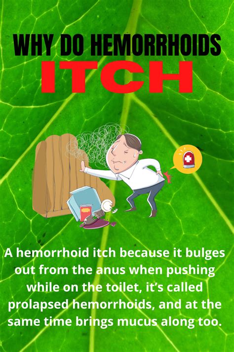 do hemorrhoids itch