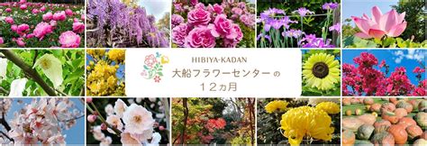 Image result for Lesson 7 Homework Answer Key Module 8 Second Grade