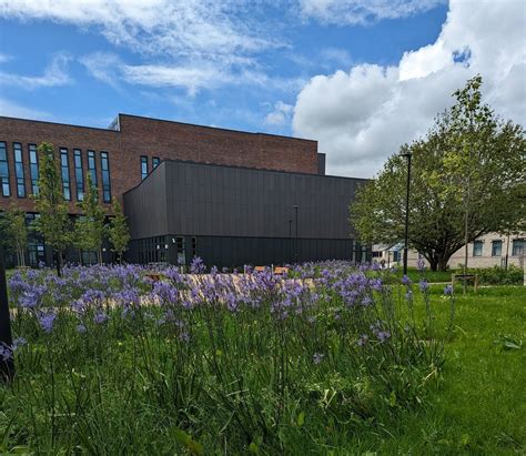 Maynooth University: Admissions, Ranking, Acceptance Rate, Courses & Fees