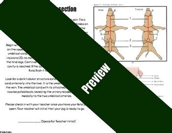 Image result for Fetal Pig Dissection Lab