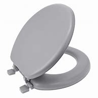 Image result for Ginsey Toilet Seats
