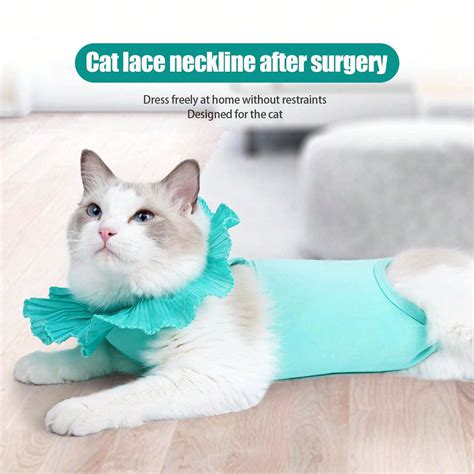 This Is A Modal Fabric Cat Post-Surgery Recovery Suit, With A Lace ...