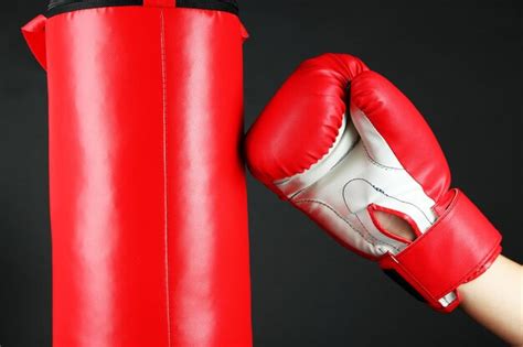 Punching Boxe 的图像结果
