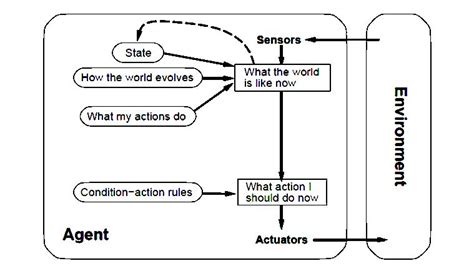 Reflex Agent 的图像结果