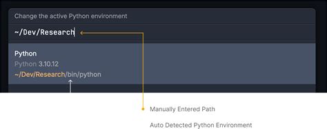 Python Envs - Scripton Docs