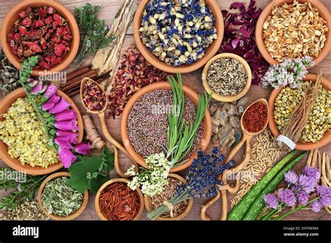 Natural Herbal Medicine 的图像结果