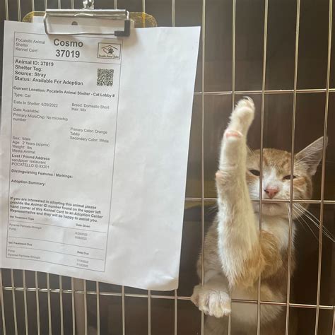 News Releases • City of Pocatello • CivicEngage