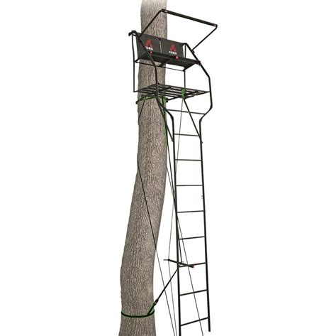 Buy Primal Tree Stands Double Vantage Deluxe 18' Two-Man Ladder Tree ...