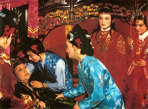 王飞燕：乐善斋本《红楼梦》中对中国传统戏曲的理解与翻译-搜狐大视野-搜狐新闻
