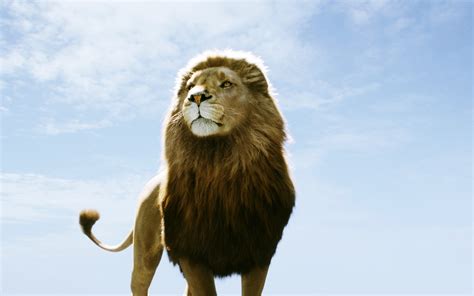Aslan in Narnia Dawn Treader Wallpapers | HD Wallpapers | ID #9990